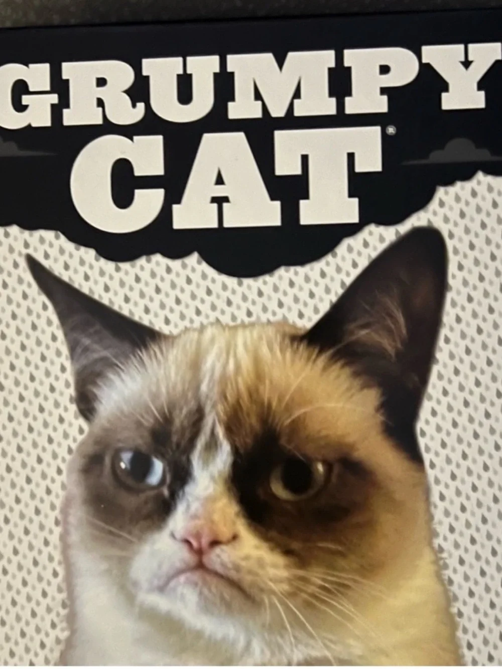 Craft Beads, GRUMPY CAT - NOT HAPPY, Jewelry Supplies, loose bulk beads